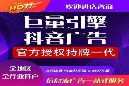 SEM搜索引擎优化案例：如何提升网站流量和转化率